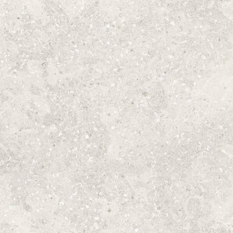 Sea Luster Bianca Matte 48 x 48